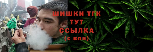 мдпв Михайлов