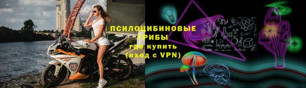 гидра Михайловск