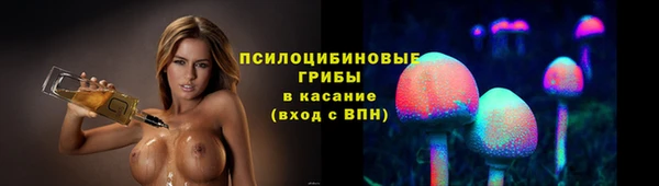 мдпв Михайлов