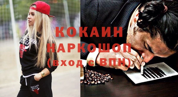 гидра Михайловск