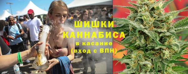 гидра Михайловск
