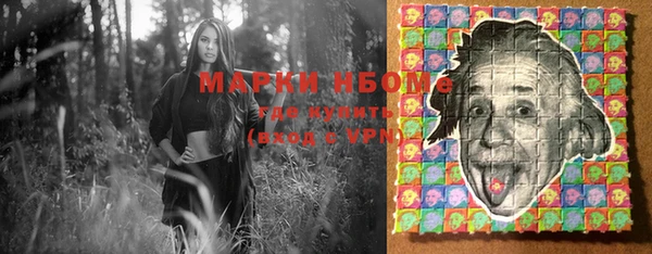 мдпв Михайлов
