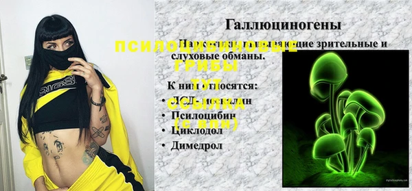гидра Михайловск
