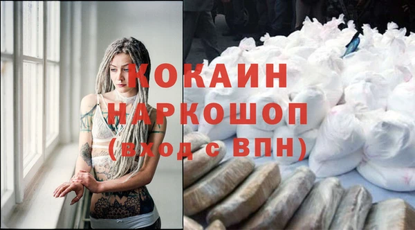 гидра Михайловск