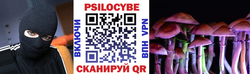 купить наркоту  Сорск  Псилоцибиновые грибы Psilocybe 